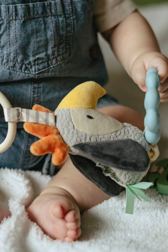 Hello Baby 3-6 Month Gift Set