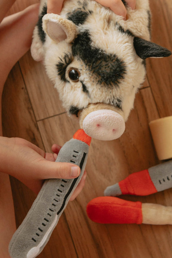 Pet Vet